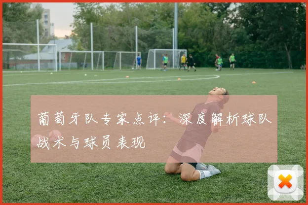 葡萄牙队专家点评:深度解析球队战术与球员表现