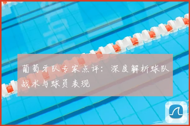 葡萄牙队专家点评：深度解析球队战术与球员表现
